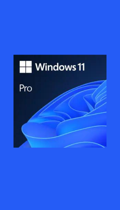 windows 11